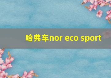 哈弗车nor eco sport